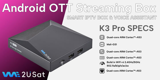 Niestandardowy Android IPTV Box 4K HD 2.4G/5G WIFI BT5.0 2G Ram 8G We2u K3 Pro